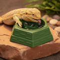 DragonDine™ - Reptiel Doolhof Voederbak met Afneembare Waterbak (S/L)