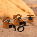3 brown leather harnesses with leash natural background
