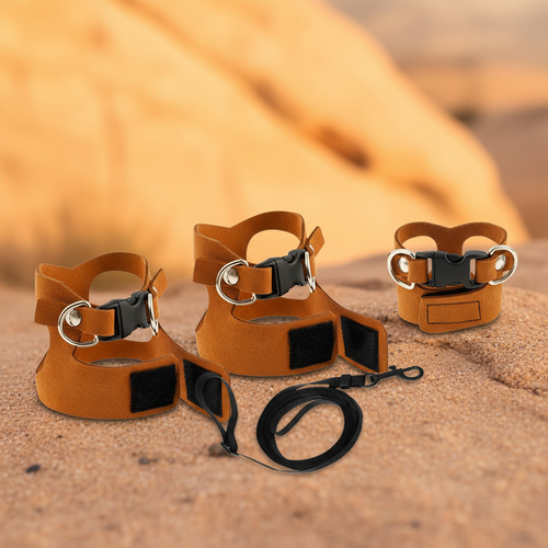 3 brown leather harnesses with leash natural background